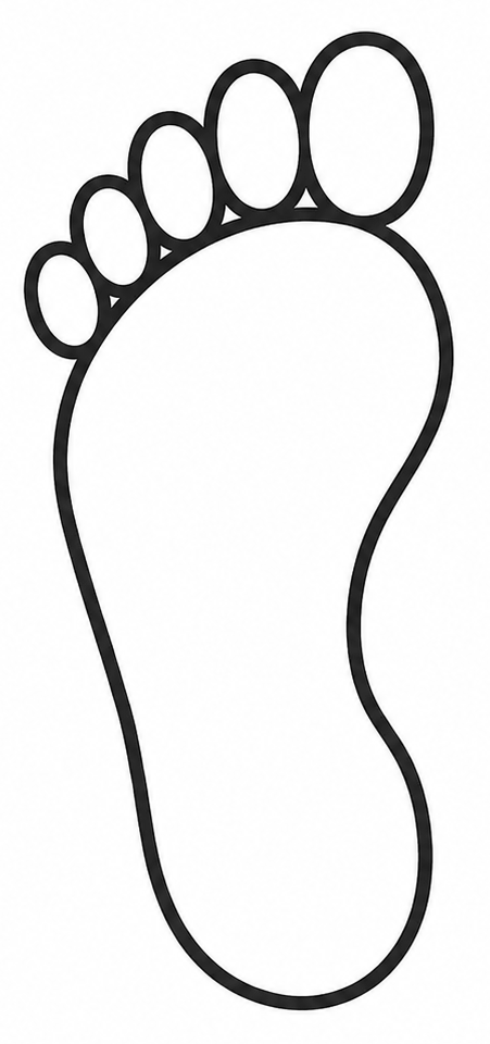 Outline of a single foot used as a reflexology zone map